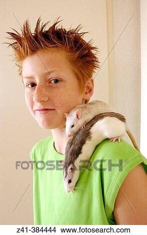 Pre-teenager and two rats View Large Photo Image Picture - Pre-teenager and two rats. Fotosearch