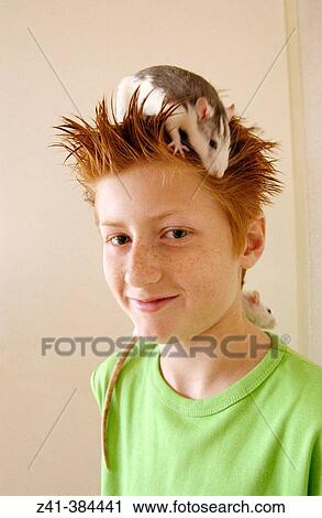 Pre-teenager and two rats View Large Photo Image Stock Image - Pre-teenager and two rats. Fotosearch