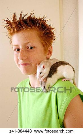 Pre-teenager and two rats View Large Photo Image Stock Image - Pre-teenager and two rats. Fotosearch