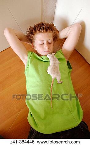 Pre-teenager and white rat View Large Photo Image Stock Photograph - Pre-teenager and white rat. Fotosearch