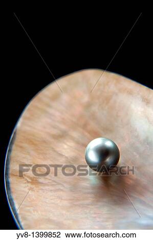Stock Image - Precious grey pearl inside shell. Fotosearch