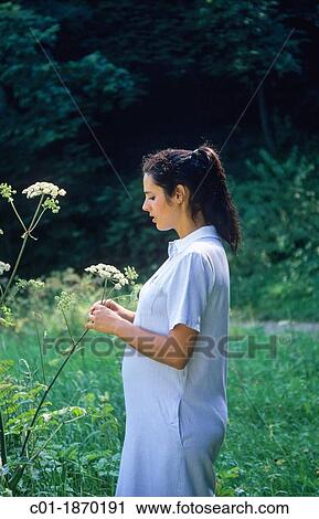 Pregnant woman picking forest wild flowers View Large Photo Image Stock Image - Pregnant woman picking forest wild flowers. Fotosearch