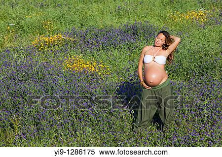 Pregnant woman relaxing in field View Large Photo Image Stock Photography - Pregnant woman relaxing in field. Fotosearch