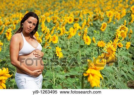 Stock Photography - Pregnant woman relaxing in sunflowers field. Fotosearch