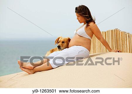 Pregnant woman relaxing on the beach with her dog View Large Photo Image Stock Image - Pregnant woman relaxing on the beach with her dog. Fotosearch