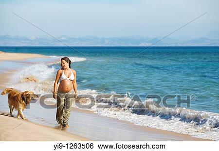 Pregnant woman relaxing on the beach with her dog View Large Photo Image Stock Photograph - Pregnant woman relaxing on the beach with her dog. Fotosearch