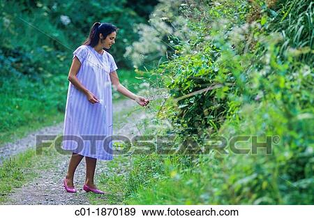 Stock Photo - Pregnant woman strolling in forest. Fotosearch