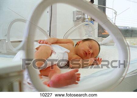 Premature baby View Large Photo Image Stock Photo - Premature baby. Fotosearch