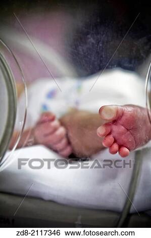 Premature in ICU. View Large Photo Image Stock Photograph - Premature in ICU.. Fotosearch
