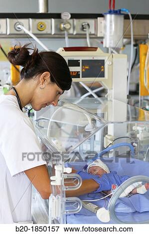 Premature, Medical care, Neonate Intensive care Unit, Donostia Hospital, San Sebastian, Donostia, Gipuzkoa, Basque Country, Spain View Large Photo Image Stock Photo - Premature, Medical care, Neonate Intensive care Unit, Donostia Hospital, San Sebastian, Donostia, Gipuzkoa, Basque Country, Spain. Fotosearch