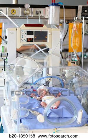 Stock Photo - Premature, Medical care, Neonate Intensive care Unit, Donostia Hospital, San Sebastian, Donostia, Gipuzkoa, Basque Country, Spain. Fotosearch