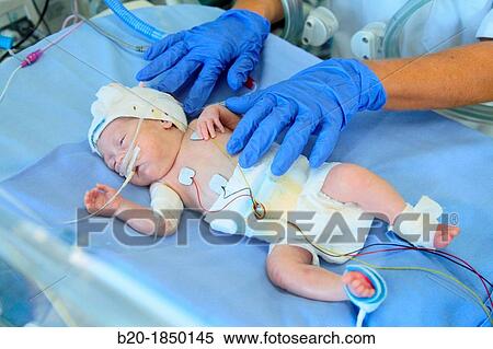 Premature, Neonate Intensive care Unit, Donostia Hospital, San Sebastian, Donostia, Gipuzkoa, Basque Country, Spain View Large Photo Image Stock Photography - Premature, Neonate Intensive care Unit, Donostia Hospital, San Sebastian, Donostia, Gipuzkoa, Basque Country, Spain. Fotosearch