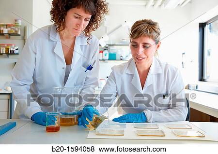 Preparation of biopolymer films based on proteins, polysaccharides and lipids by the method of? casting? for use in packaging and food preservation. View Large Photo Image Stock Photo - Preparation of biopolymer films based on proteins, polysaccharides and lipids by the method of? casting? for use in packaging and food preservation.. Fotosearch