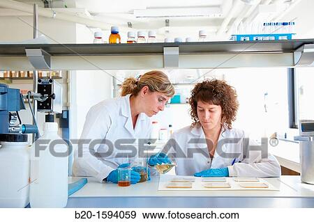 Preparation of biopolymer films based on proteins, polysaccharides and lipids by the method of? casting? for use in packaging and food preservation. View Large Photo Image Stock Photo - Preparation of biopolymer films based on proteins, polysaccharides and lipids by the method of? casting? for use in packaging and food preservation.. Fotosearch