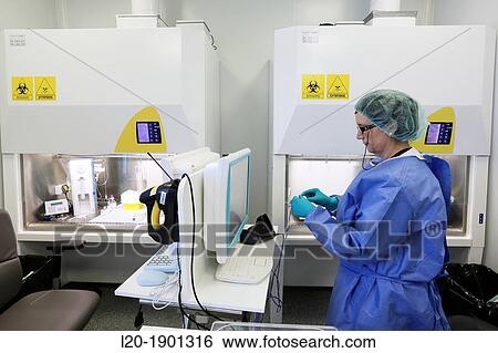 Preparation of cytostatic, Chemotherapy, Pharmacy, Onkologikoa Hospital, Oncology Institute, Case Center for prevention, diagnosis and treatment of cancer, Donostia, San Sebastian, Gipuzkoa, Basque Country, Spain View Large Photo Image Stock Photograph - Preparation of cytostatic, Chemotherapy, Pharmacy, Onkologikoa Hospital, Oncology Institute, Case Center for prevention, diagnosis and treatment of cancer, Donostia, San Sebastian, Gipuzkoa, Basque Country, Spain. Fotosearch