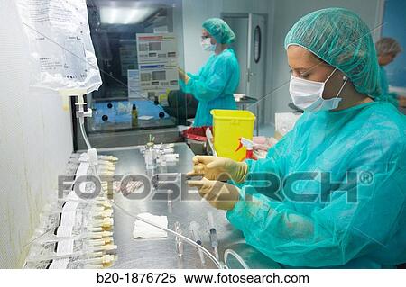 Preparation of drugs in laminar flow hood, epidural anesthesia, Clean room, Pharmacy, Hospital Donostia, San Sebastian, Gipuzkoa, Basque Country, Spain View Large Photo Image Stock Photography - Preparation of drugs in laminar flow hood, epidural anesthesia, Clean room, Pharmacy, Hospital Donostia, San Sebastian, Gipuzkoa, Basque Country, Spain. Fotosearch
