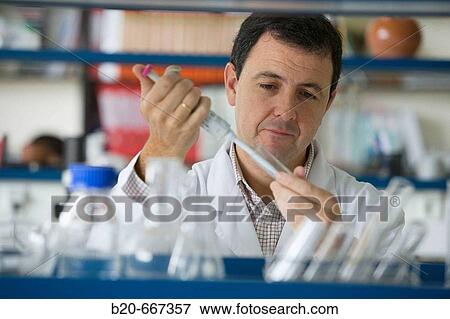 Stock Photo - Preparation of samples for quality analysis, Agronomy Laboratory, Neiker Tecnalia, Instituto de Investigaci? n y Desarrollo Agrario, Ganadero, Forestal y del Medio Natural, Arkaute, Alava, Euskadi, Spain.. Fotosearch