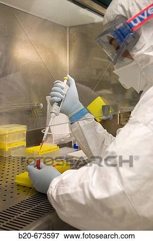 Preparing Bio-Rad conjugation, Laboratory of Bacteriology, Departamento de Producci? n y Sanidad Animal, Neiker Tecnalia, Instituto de Investigaci? n y Desarrollo Agrario, Ganadero, Forestal y del Medio Natural, Derio, Bizkaia, Euskadi, Spain View Large Photo Image Stock Photo - Preparing Bio-Rad conjugation, Laboratory of Bacteriology, Departamento de Producci? n y Sanidad Animal, Neiker Tecnalia, Instituto de Investigaci? n y Desarrollo Agrario, Ganadero, Forestal y del Medio Natural, Derio, Bizkaia, Euskadi, Spain. Fotosearch