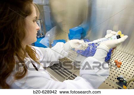 Preparing sample in Neubauer chamber to count cells, laminar flow cabinet, culture room, biopharmaceutical lab, development and production of innovative drugs using adult stem cells, Cellerix, Grupo Genetrix, Madrid View Large Photo Image Stock Image - Preparing sample in Neubauer chamber to count cells, laminar flow cabinet, culture room, biopharmaceutical lab, development and production of innovative drugs using adult stem cells, Cellerix, Grupo Genetrix, Madrid. Fotosearch