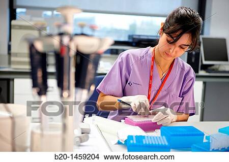 Picture - Preparing samples for DNA sequencing, Genomics Unit, DNA and RNA sequentation and quantitation, quantitative PCR array, Biodonostia Health and Biomedicine Research Institute, San Sebastian, Donostia, Gipuzkoa, Euskadi, Spain. Fotosearch