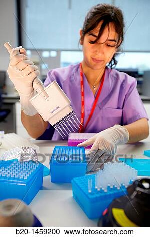 Preparing samples for DNA sequencing, Genomics Unit, DNA and RNA sequentation and quantitation, quantitative PCR array, Biodonostia Health and Biomedicine Research Institute, San Sebastian, Donostia, Gipuzkoa, Euskadi, Spain View Large Photo Image Stock Image - Preparing samples for DNA sequencing, Genomics Unit, DNA and RNA sequentation and quantitation, quantitative PCR array, Biodonostia Health and Biomedicine Research Institute, San Sebastian, Donostia, Gipuzkoa, Euskadi, Spain. Fotosearch