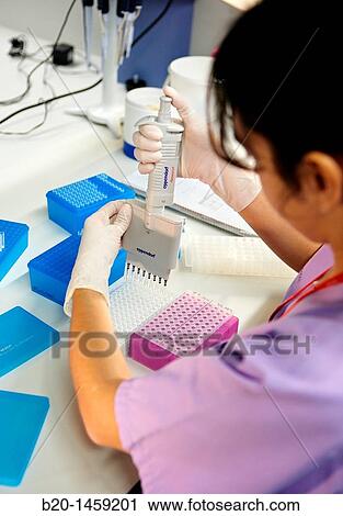 Preparing samples for DNA sequencing, Genomics Unit, DNA and RNA sequentation and quantitation, quantitative PCR array, Biodonostia Health and Biomedicine Research Institute, San Sebastian, Donostia, Gipuzkoa, Euskadi, Spain View Large Photo Image Stock Image - Preparing samples for DNA sequencing, Genomics Unit, DNA and RNA sequentation and quantitation, quantitative PCR array, Biodonostia Health and Biomedicine Research Institute, San Sebastian, Donostia, Gipuzkoa, Euskadi, Spain. Fotosearch
