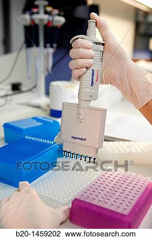 Preparing samples for DNA sequencing, Genomics Unit, DNA and RNA sequentation and quantitation, quantitative PCR array, Biodonostia Health and Biomedicine Research Institute, San Sebastian, Donostia, Gipuzkoa, Euskadi, Spain View Large Photo Image Stock Image - Preparing samples for DNA sequencing, Genomics Unit, DNA and RNA sequentation and quantitation, quantitative PCR array, Biodonostia Health and Biomedicine Research Institute, San Sebastian, Donostia, Gipuzkoa, Euskadi, Spain. Fotosearch