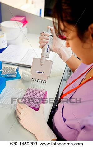 Preparing samples for DNA sequencing, Genomics Unit, DNA and RNA sequentation and quantitation, quantitative PCR array, Biodonostia Health and Biomedicine Research Institute, San Sebastian, Donostia, Gipuzkoa, Euskadi, Spain View Large Photo Image Stock Image - Preparing samples for DNA sequencing, Genomics Unit, DNA and RNA sequentation and quantitation, quantitative PCR array, Biodonostia Health and Biomedicine Research Institute, San Sebastian, Donostia, Gipuzkoa, Euskadi, Spain. Fotosearch
