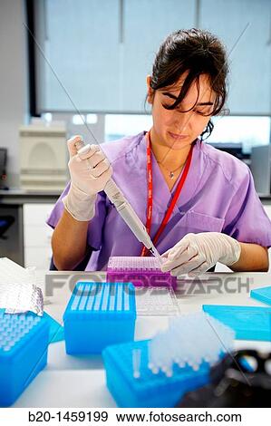 Stock Photo - Preparing samples for DNA sequencing, Genomics Unit, DNA and RNA sequentation and quantitation, quantitative PCR array, Biodonostia Health and Biomedicine Research Institute, San Sebastian, Donostia, Gipuzkoa, Euskadi, Spain. Fotosearch