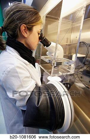 Stock Photograph - Preparing samples in inert atmosphere, controlled atmosphere glove box, stereo microscope, Synthesis Laboratory, CIC nanoGUNE Nanoscience Cooperative Research Center, Donostia, Gipuzkoa, Euskadi, Spain. Fotosearch