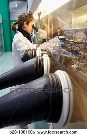 Stock Photography - Preparing samples in inert atmosphere, controlled atmosphere glove box, stereo microscope, Synthesis Laboratory, CIC nanoGUNE Nanoscience Cooperative Research Center, Donostia, Gipuzkoa, Euskadi, Spain. Fotosearch