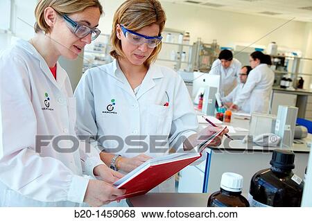 Stock Photo - Preparing solution samples for column chromatography, synthesis lab, research laboratory, IkerChem research lab, design and synthesis of new chemical entities with therapeutic applications in oncology. Fotosearch