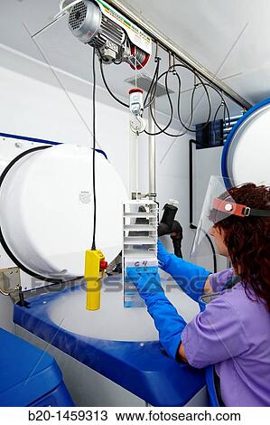 Stock Image - Preservation of frozen samples at -190? C, liquid nitrogen area, Biodonostia Health and Biomedicine Research Institute, San Sebastian, Donostia, Gipuzkoa, Euskadi, Spain. Fotosearch