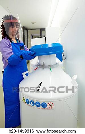 Stock Photograph - Preservation of frozen samples at -190? C, liquid nitrogen area, Biodonostia Health and Biomedicine Research Institute, San Sebastian, Donostia, Gipuzkoa, Euskadi, Spain. Fotosearch