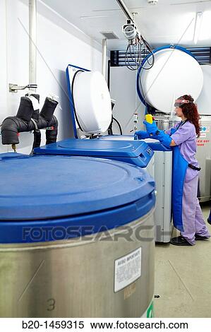Stock Photography - Preservation of frozen samples at -190? C, liquid nitrogen area, Biodonostia Health and Biomedicine Research Institute, San Sebastian, Donostia, Gipuzkoa, Euskadi, Spain. Fotosearch