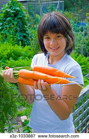 Pretty young girl with freshly harvested crop of Top Weight variety carrots View Large Photo Image Stock Photo - Pretty young girl with freshly harvested crop of Top Weight variety carrots. Fotosearch