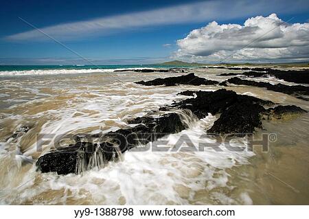 Stock Photo - Pristine Beach on Isabela Island - Galapagos Islands, Ecuador. Fotosearch