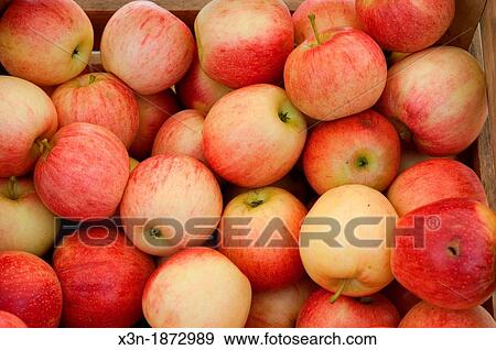 Produce at a Farmers Market View Large Photo Image Stock Photo - Produce at a Farmers Market. Fotosearch