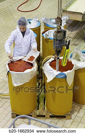 Production line of canned vegetables and beans in glass bottle, Cooked Tomato, Canning Industry, Agri-food, Gutarra, Grupo Riberebro, Villafranca, Navarra, Spain View Large Photo Image Picture - Production line of canned vegetables and beans in glass bottle, Cooked Tomato, Canning Industry, Agri-food, Gutarra, Grupo Riberebro, Villafranca, Navarra, Spain. Fotosearch