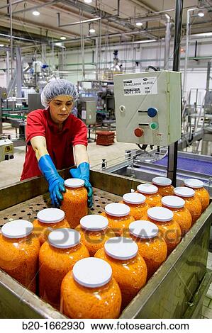 Production line of canned vegetables and beans in glass bottle, Carrots, Canning Industry, Agri-food, Gutarra, Grupo Riberebro, Villafranca, Navarra, Spain View Large Photo Image Stock Image - Production line of canned vegetables and beans in glass bottle, Carrots, Canning Industry, Agri-food, Gutarra, Grupo Riberebro, Villafranca, Navarra, Spain. Fotosearch