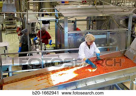 Production line of canned vegetables and beans in glass bottle, Cooked Tomato, Canning Industry, Agri-food, Navarra, Spain View Large Photo Image Stock Image - Production line of canned vegetables and beans in glass bottle, Cooked Tomato, Canning Industry, Agri-food, Navarra, Spain. Fotosearch