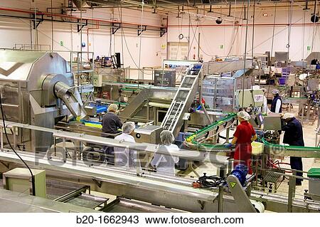 Stock Image - Production line of canned vegetables and beans in glass bottle, Corn, Maize, Canning Industry, Agri-food, Logistics Center, Gutarra, Grupo Riberebro, Villafranca, Navarra, Spain. Fotosearch