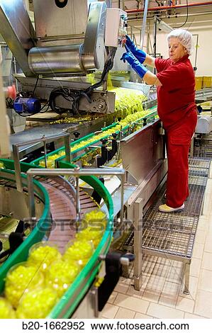 Production line of canned vegetables and beans in glass bottle, Corn, Maize, Canning Industry, Agri-food, Logistics Center, Gutarra, Grupo Riberebro, Villafranca, Navarra, Spain View Large Photo Image Stock Image - Production line of canned vegetables and beans in glass bottle, Corn, Maize, Canning Industry, Agri-food, Logistics Center, Gutarra, Grupo Riberebro, Villafranca, Navarra, Spain. Fotosearch