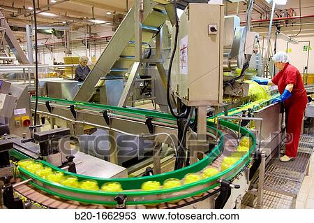 Production line of canned vegetables and beans in glass bottle, Corn, Maize, Canning Industry, Agri-food, Logistics Center, Navarra, Spain View Large Photo Image Stock Image - Production line of canned vegetables and beans in glass bottle, Corn, Maize, Canning Industry, Agri-food, Logistics Center, Navarra, Spain. Fotosearch