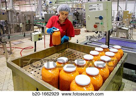 Production line of canned vegetables and beans in glass bottle, Carrots, Canning Industry, Agri-food, Gutarra, Grupo Riberebro, Villafranca, Navarra, Spain View Large Photo Image Stock Photo - Production line of canned vegetables and beans in glass bottle, Carrots, Canning Industry, Agri-food, Gutarra, Grupo Riberebro, Villafranca, Navarra, Spain. Fotosearch