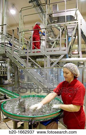 Production line of canned vegetables and beans in glass bottle, Cooked Tomato, Canning Industry, Agri-food, Gutarra, Grupo Riberebro, Villafranca, Navarra, Spain View Large Photo Image Stock Photo - Production line of canned vegetables and beans in glass bottle, Cooked Tomato, Canning Industry, Agri-food, Gutarra, Grupo Riberebro, Villafranca, Navarra, Spain. Fotosearch