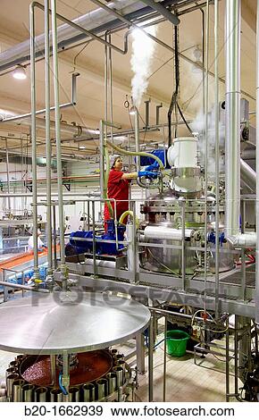 Production line of canned vegetables and beans in glass bottle, Cooked Tomato, Canning Industry, Agri-food, Gutarra, Grupo Riberebro, Villafranca, Navarra, Spain View Large Photo Image Stock Photo - Production line of canned vegetables and beans in glass bottle, Cooked Tomato, Canning Industry, Agri-food, Gutarra, Grupo Riberebro, Villafranca, Navarra, Spain. Fotosearch