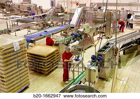 Production line of canned vegetables and beans in glass bottle, Corn, Maize, Canning Industry, Agri-food, Logistics Center, Gutarra, Grupo Riberebro, Villafranca, Navarra, Spain View Large Photo Image Stock Photo - Production line of canned vegetables and beans in glass bottle, Corn, Maize, Canning Industry, Agri-food, Logistics Center, Gutarra, Grupo Riberebro, Villafranca, Navarra, Spain. Fotosearch