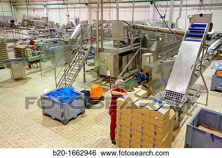 Production line of canned vegetables and beans in glass bottle, Corn, Maize, Canning Industry, Agri-food, Logistics Center, Gutarra, Grupo Riberebro, Villafranca, Navarra, Spain View Large Photo Image Stock Photograph - Production line of canned vegetables and beans in glass bottle, Corn, Maize, Canning Industry, Agri-food, Logistics Center, Gutarra, Grupo Riberebro, Villafranca, Navarra, Spain. Fotosearch