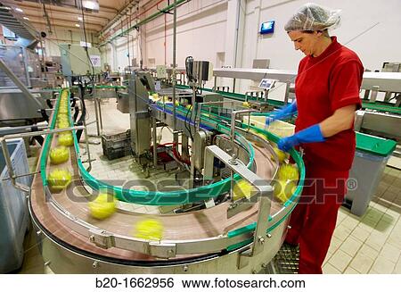 Production line of canned vegetables and beans in glass bottle, Corn, Maize, Canning Industry, Agri-food, Logistics Center, Navarra, Spain View Large Photo Image Stock Photograph - Production line of canned vegetables and beans in glass bottle, Corn, Maize, Canning Industry, Agri-food, Logistics Center, Navarra, Spain. Fotosearch